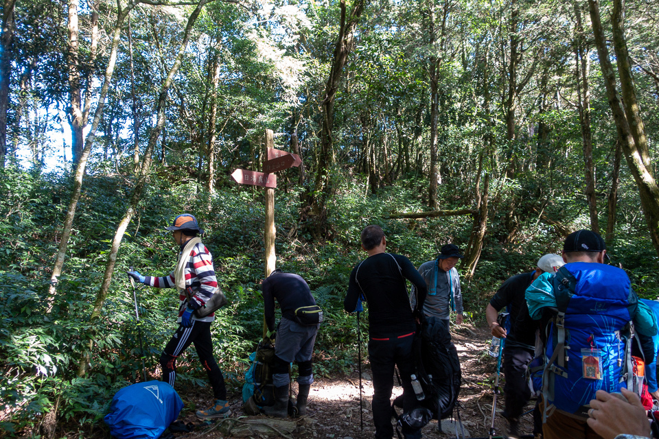 DSC02916.JPG DSC02916.JPG