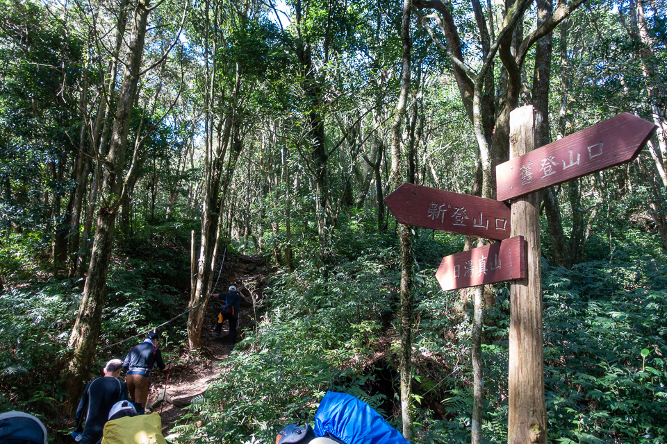 DSC02917.JPG DSC02917.JPG