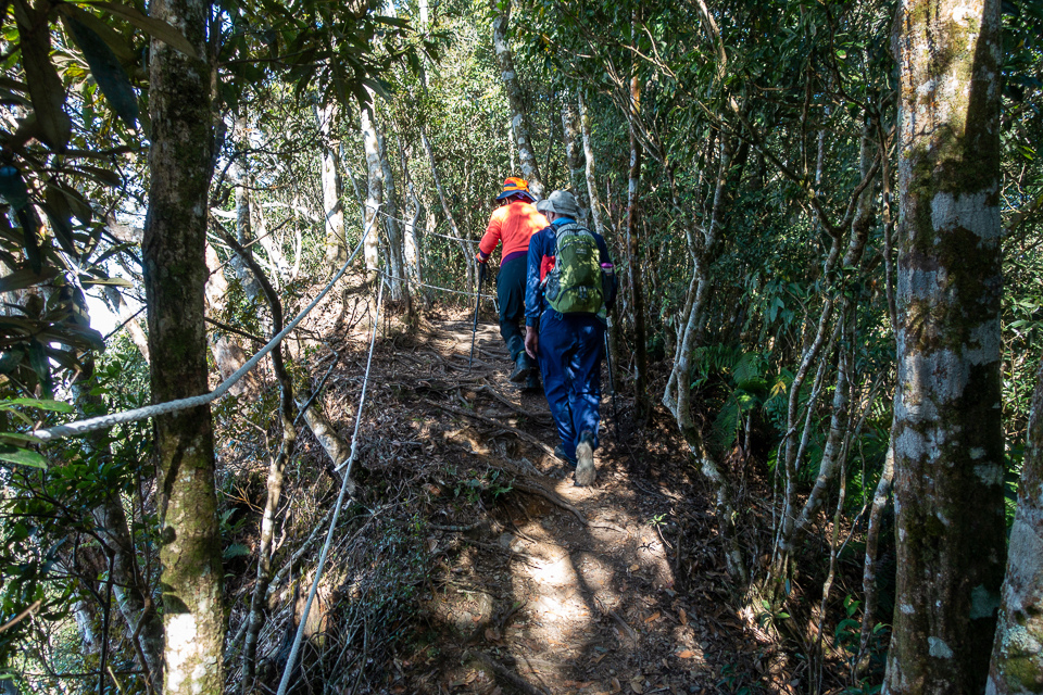 DSC02919.JPG DSC02919.JPG