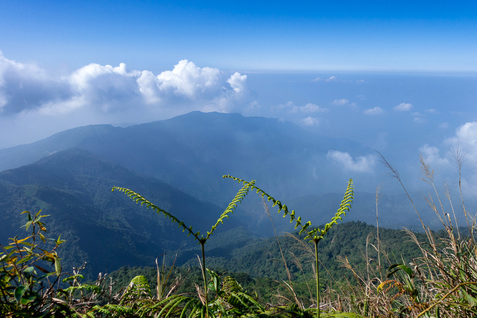 DSC02925-編輯.JPG DSC02925-編輯.JPG