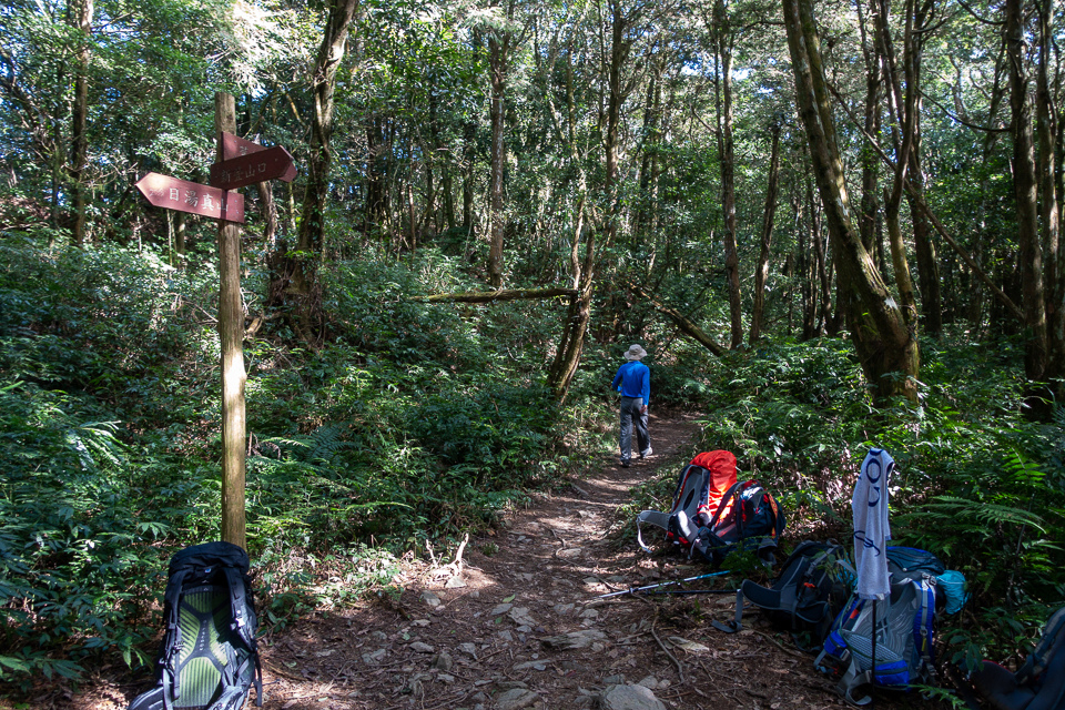 DSC02939.JPG DSC02939.JPG