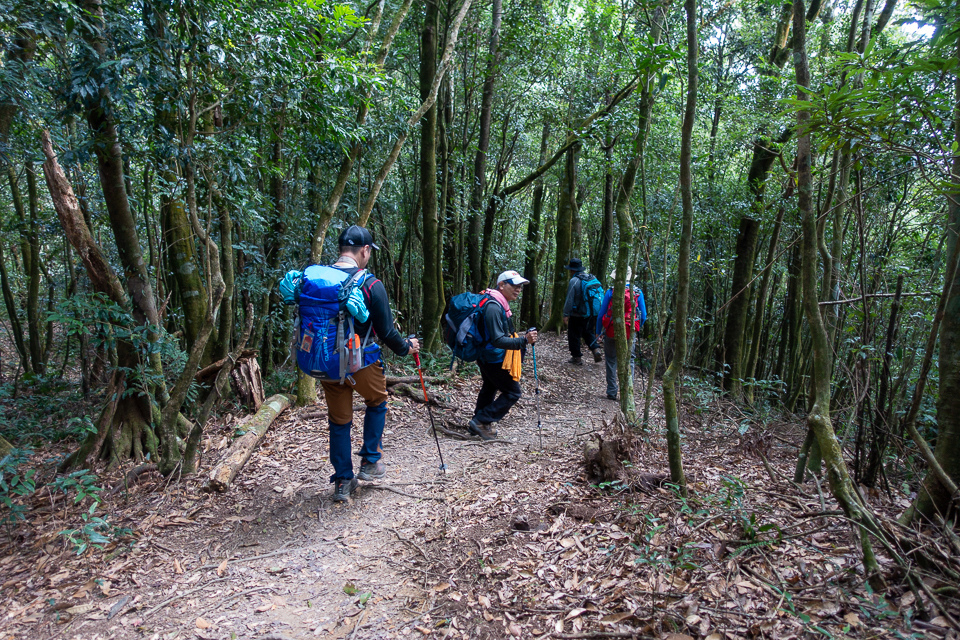 DSC02943.JPG DSC02943.JPG