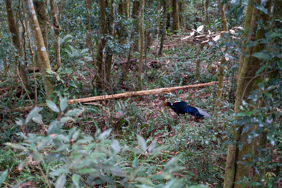 DSC02945.JPG DSC02945.JPG