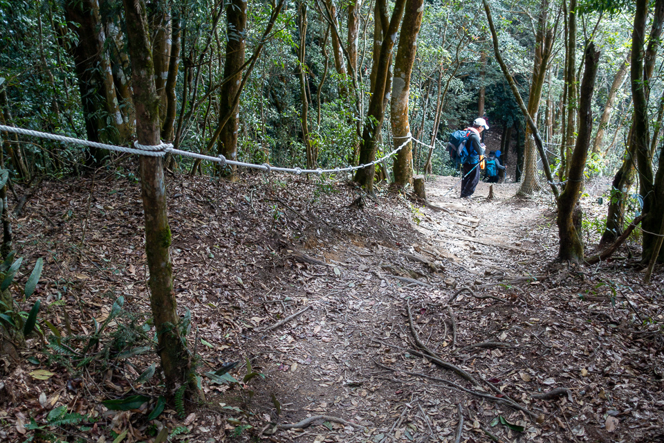 DSC02950.JPG DSC02950.JPG