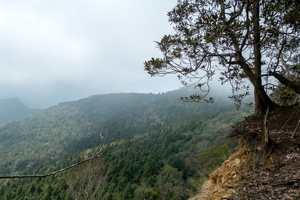 DSC02952.JPG DSC02952.JPG