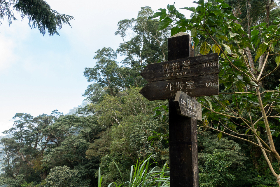 DSC02956.JPG DSC02956.JPG