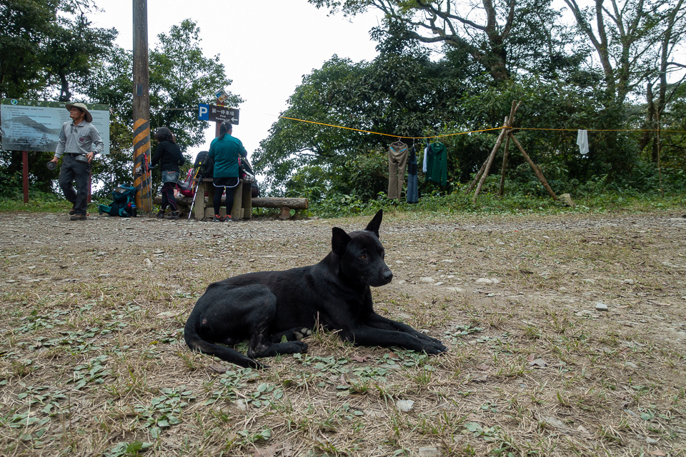 DSC02959.JPG DSC02959.JPG