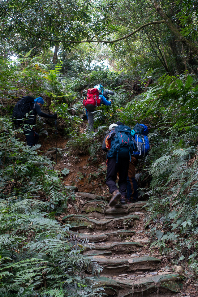 DSC02983.JPG DSC02983.JPG