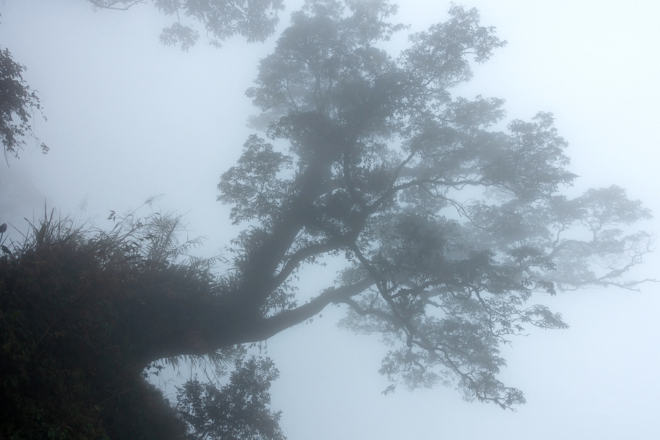 DSC03009.JPG DSC03009.JPG