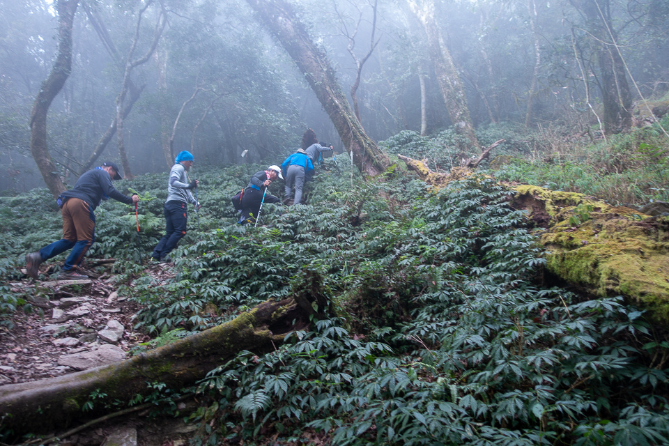 DSC03041.JPG DSC03041.JPG