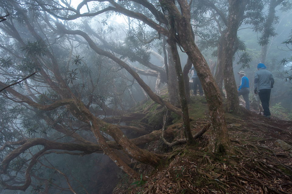 DSC03054.JPG DSC03054.JPG