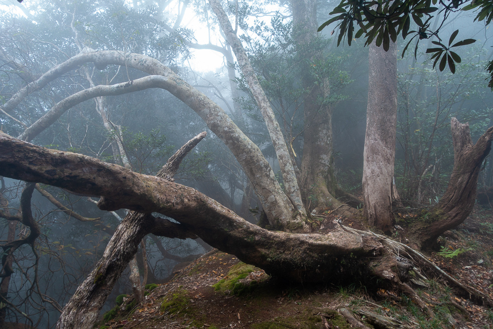 DSC03059.JPG DSC03059.JPG