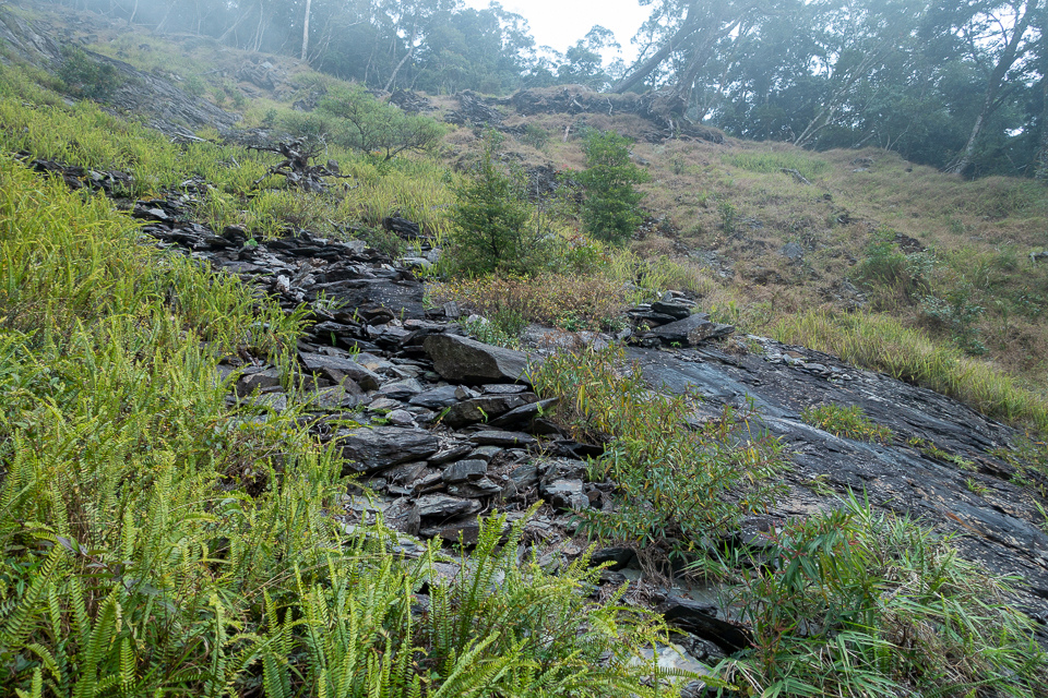 DSC03099.JPG DSC03099.JPG