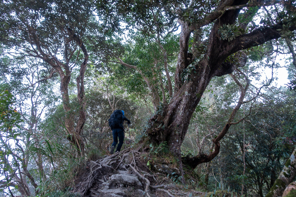 DSC03107.JPG DSC03107.JPG