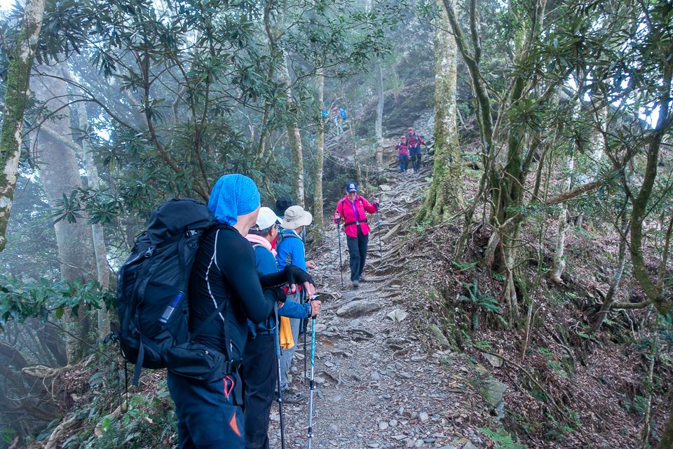 DSC03109.JPG DSC03109.JPG