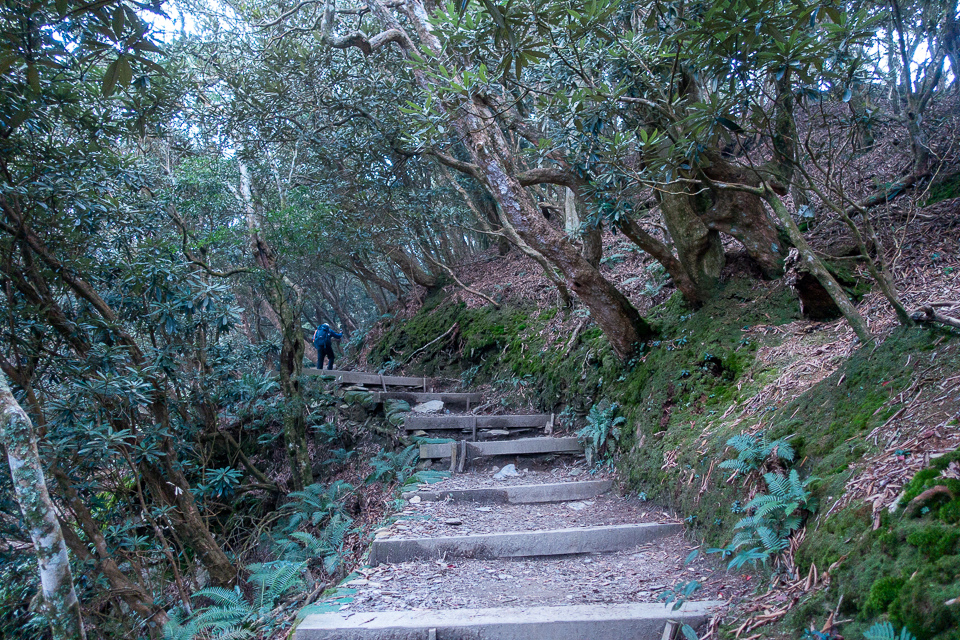 DSC03113.JPG DSC03113.JPG