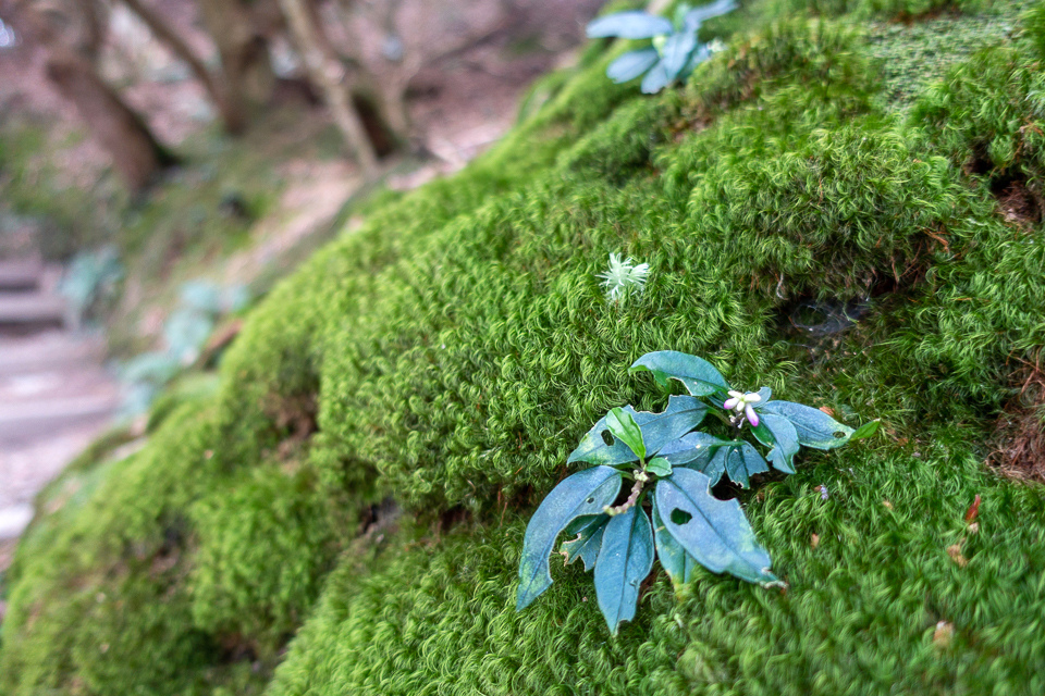 DSC03116.JPG DSC03116.JPG