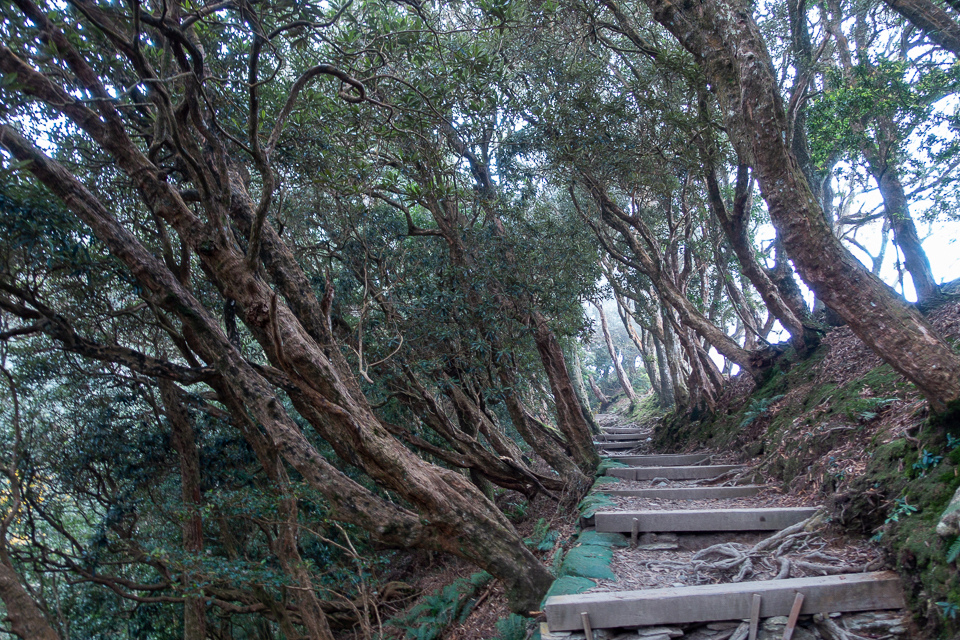 DSC03120.JPG DSC03120.JPG