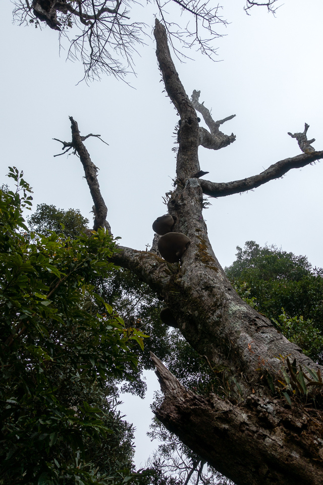 DSC03122.JPG DSC03122.JPG