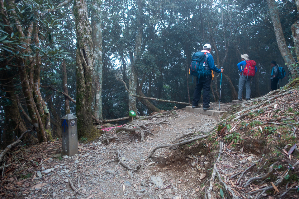 DSC03123.JPG DSC03123.JPG