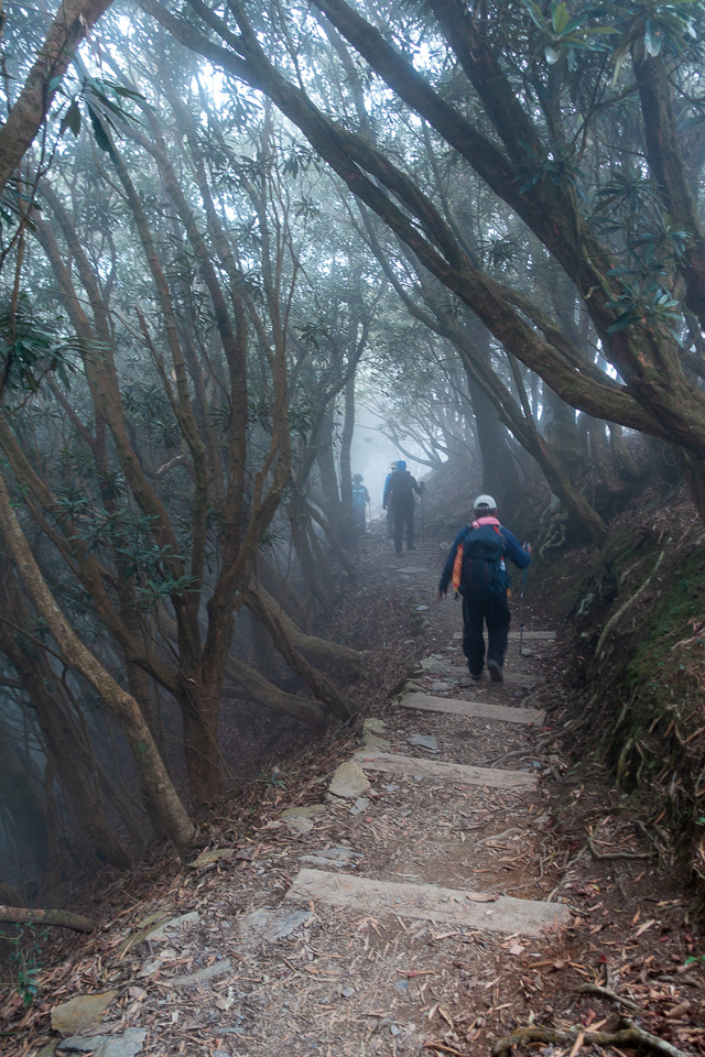 DSC03124.JPG DSC03124.JPG