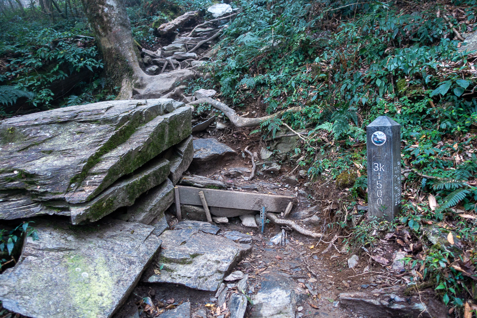 DSC03126.JPG DSC03126.JPG