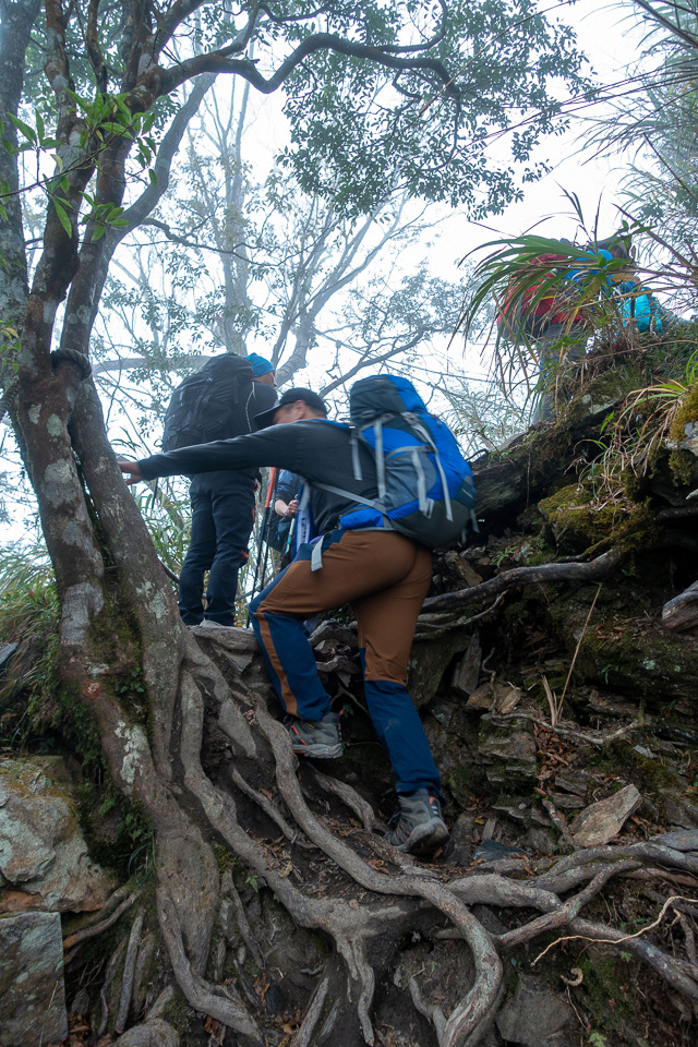 DSC03129.JPG DSC03129.JPG