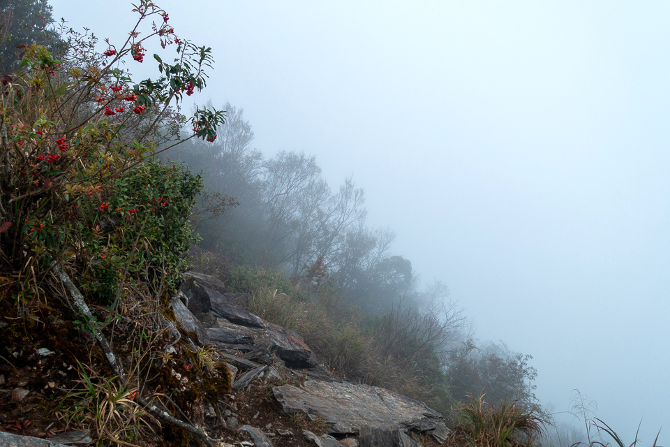 DSC03139.JPG DSC03139.JPG