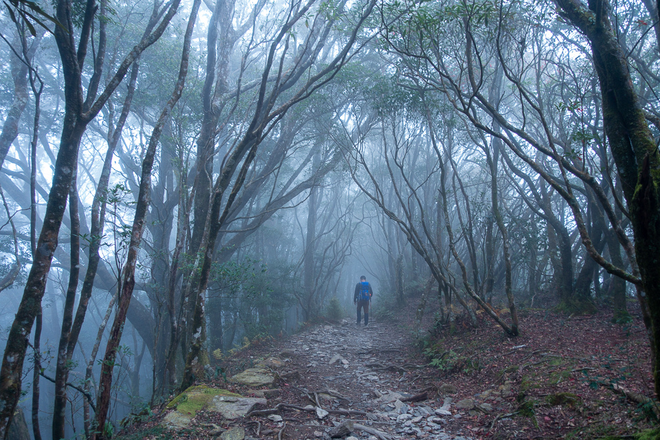 DSC03141.JPG DSC03141.JPG