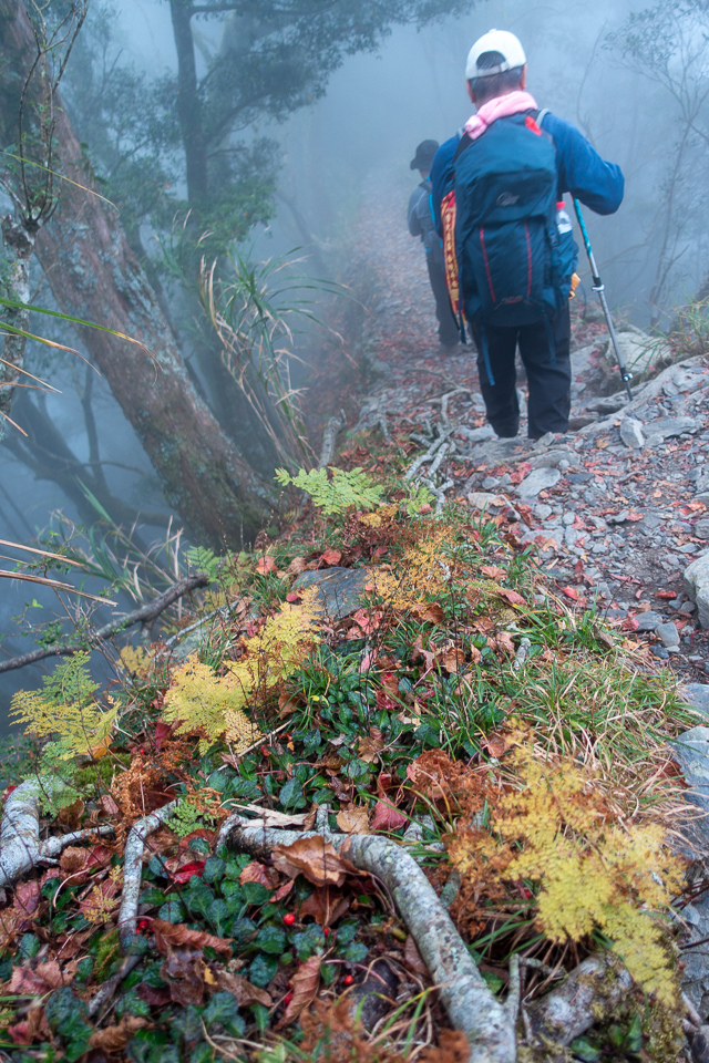 DSC03143.JPG DSC03143.JPG