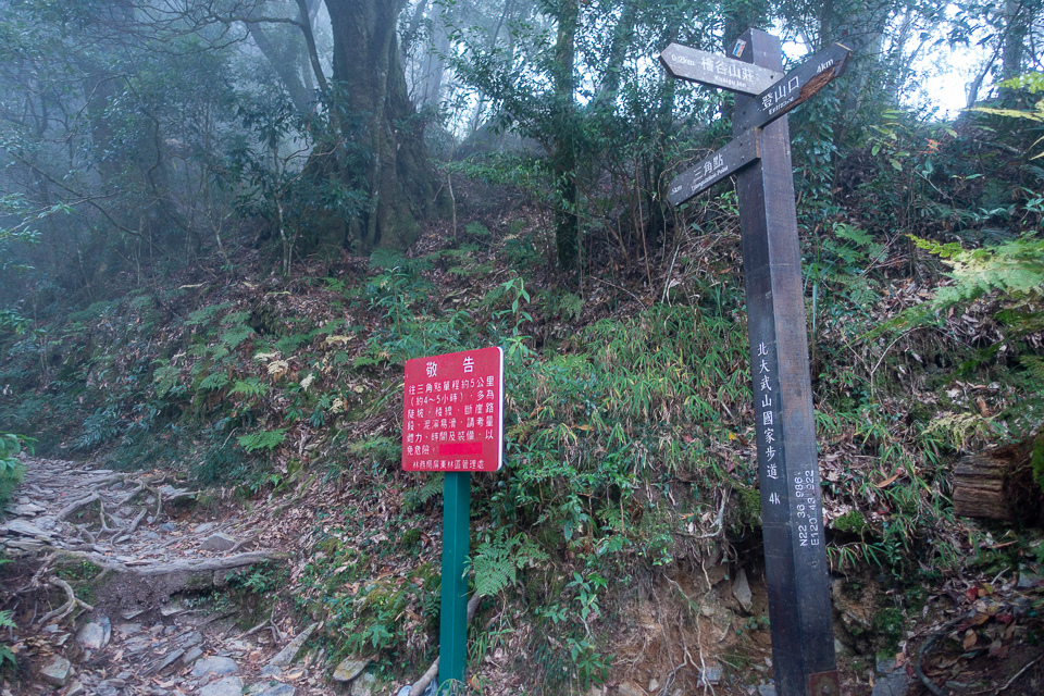 DSC03156.JPG DSC03156.JPG