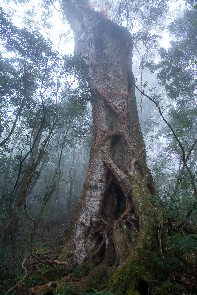 DSC03159.JPG DSC03159.JPG