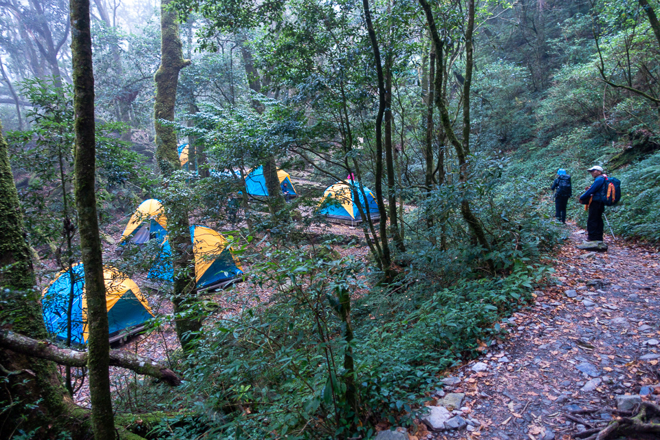 DSC03160.JPG DSC03160.JPG