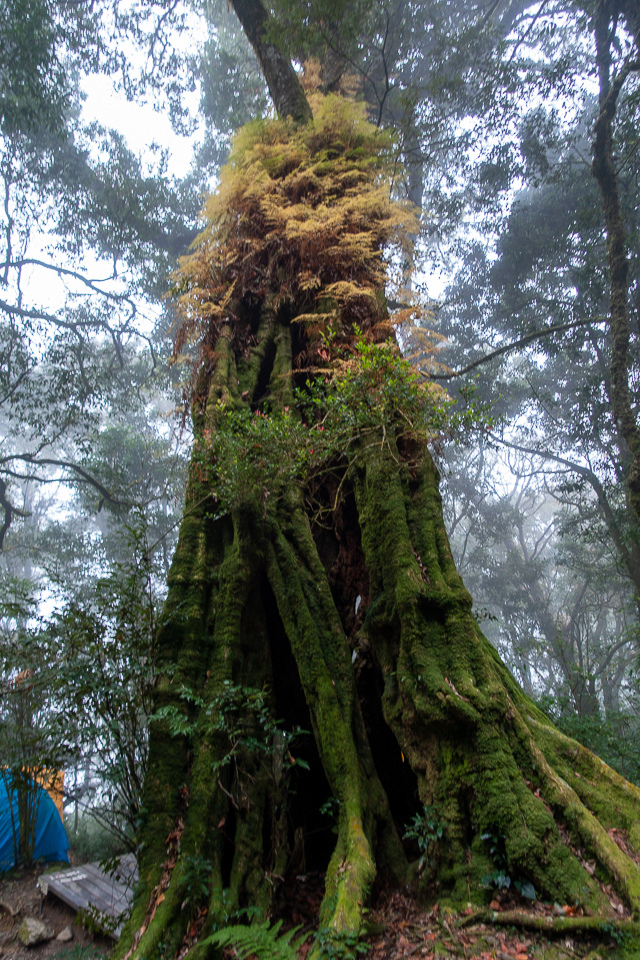 DSC03162.JPG DSC03162.JPG