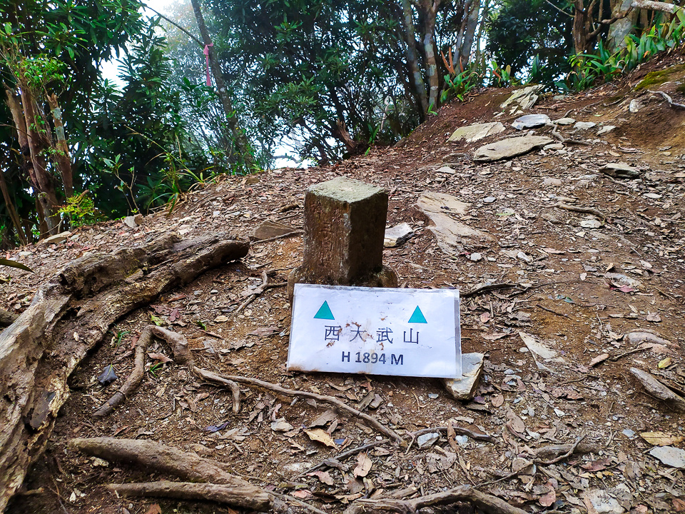 自手機拍 02-編輯.JPG 自手機拍 02-編輯.JPG