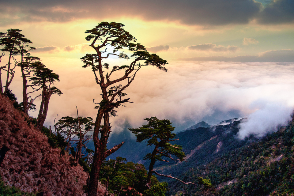 DSC03200-編輯.JPG DSC03200-編輯.JPG