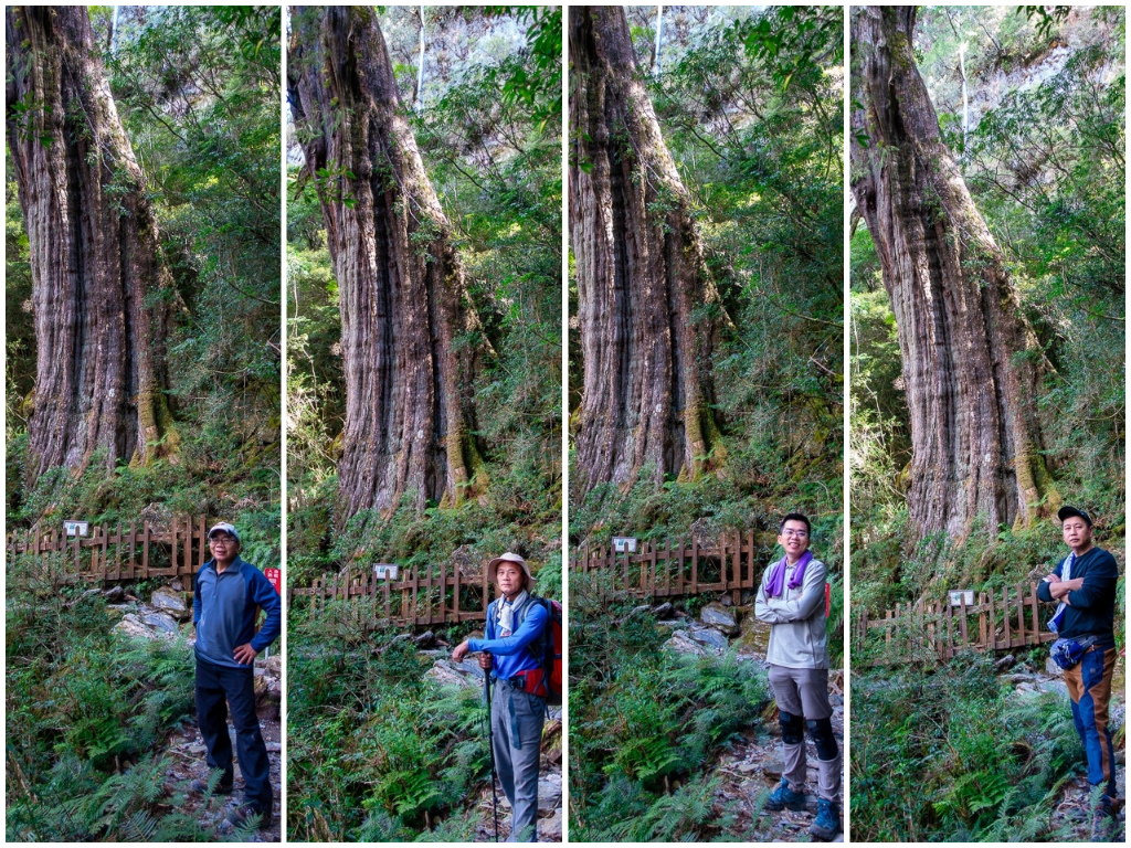 神木拼.jpg 神木拼.jpg