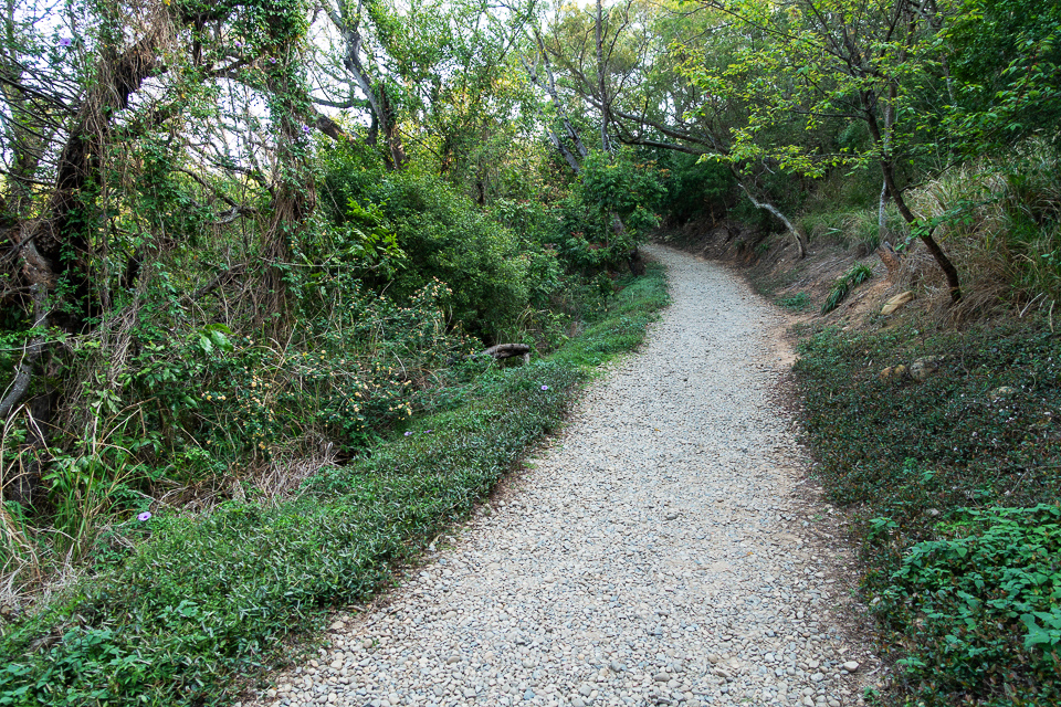 DSC05107.JPG DSC05107.JPG