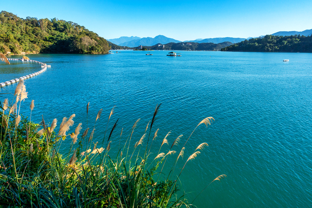 DSC06615-編輯.jpg DSC06615-編輯.jpg