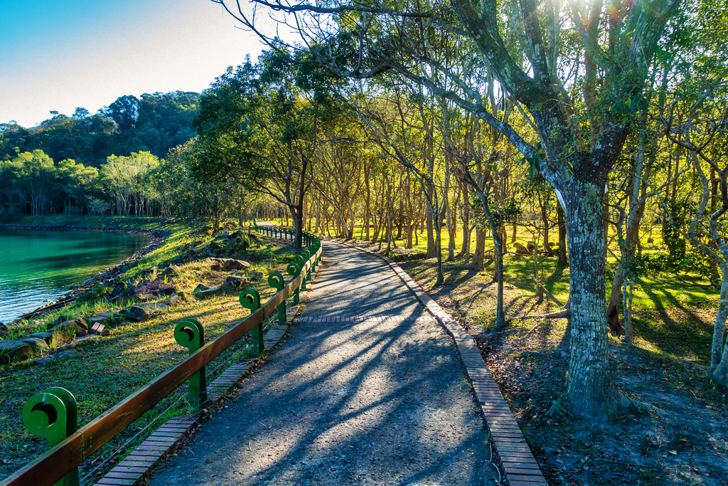 DSC06638-編輯.jpg DSC06638-編輯.jpg