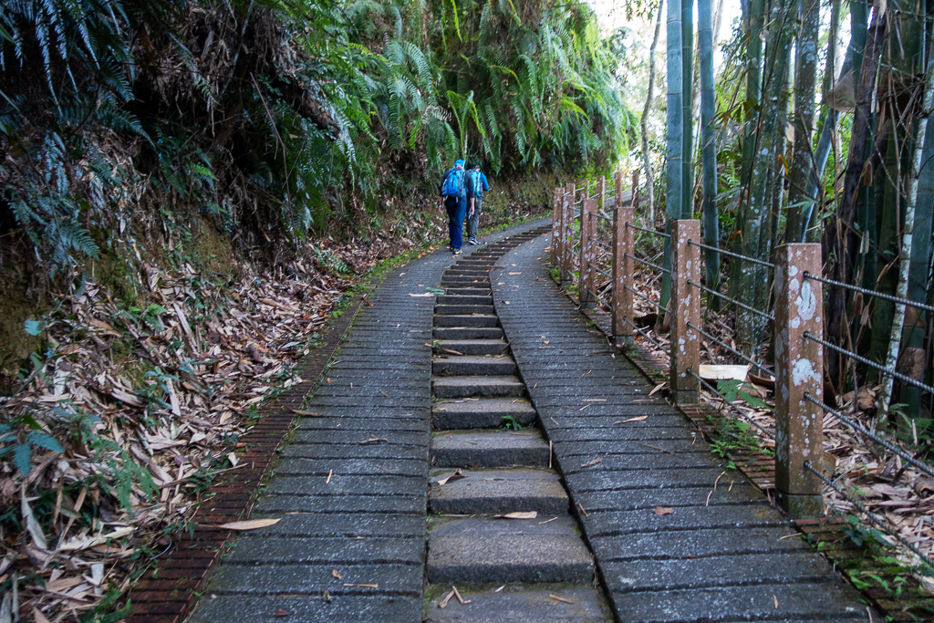 DSC06641.jpg DSC06641.jpg