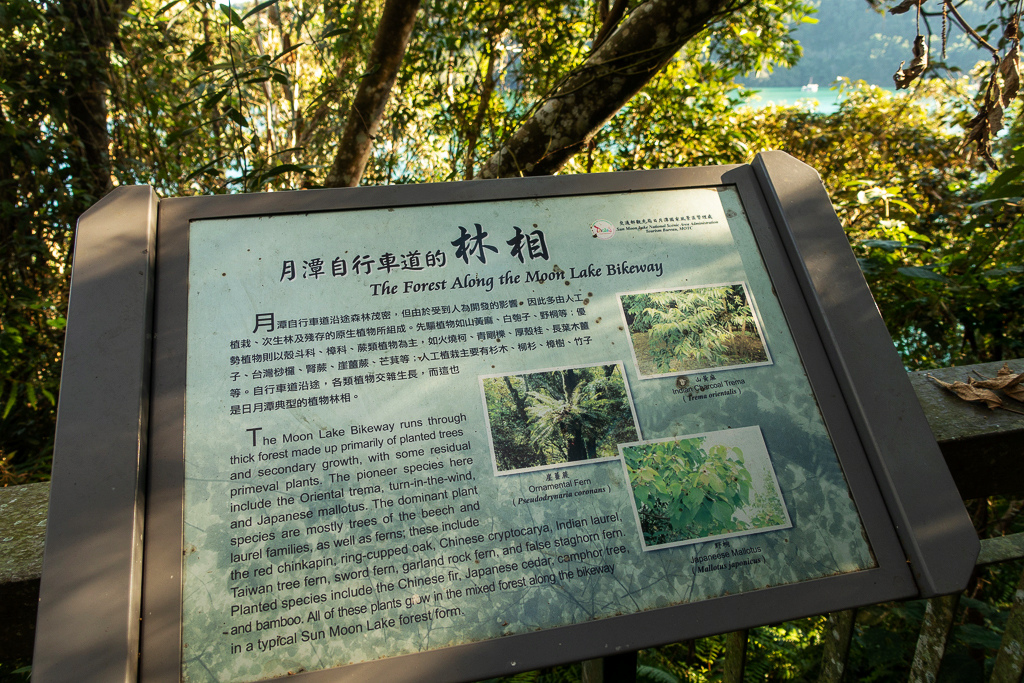 DSC06647.jpg DSC06647.jpg