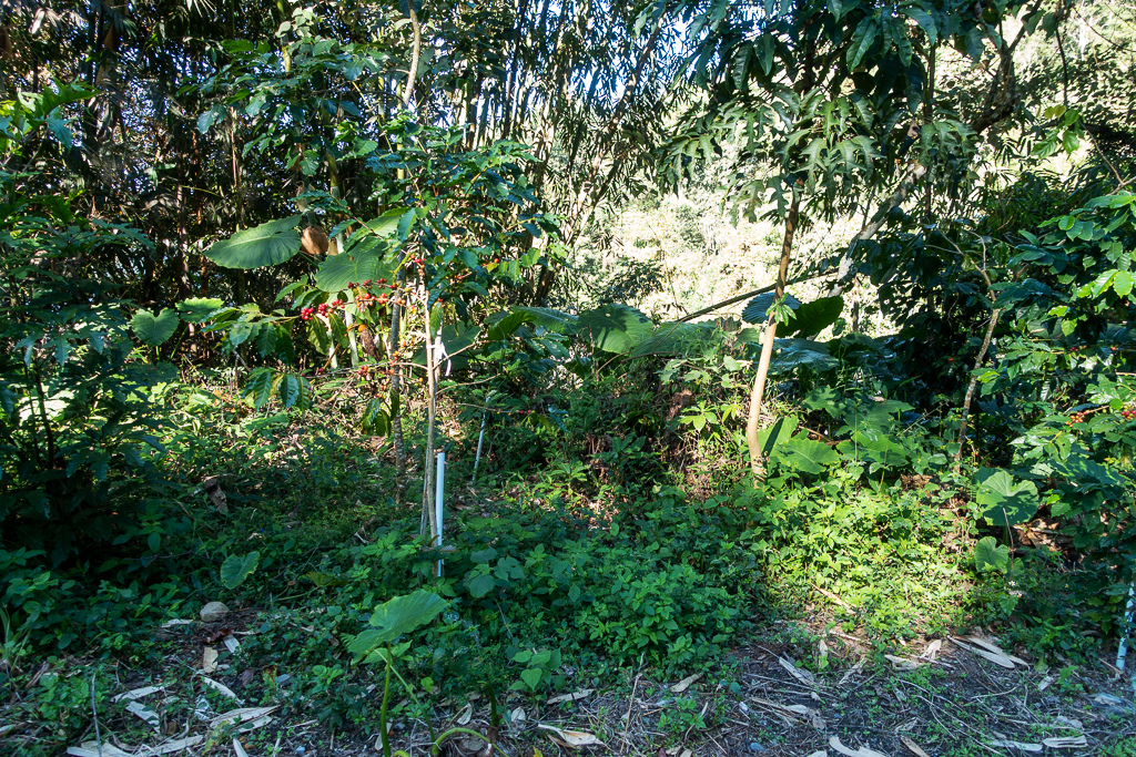 DSC06653.jpg DSC06653.jpg