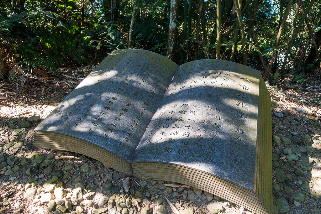 DSC06674.jpg DSC06674.jpg