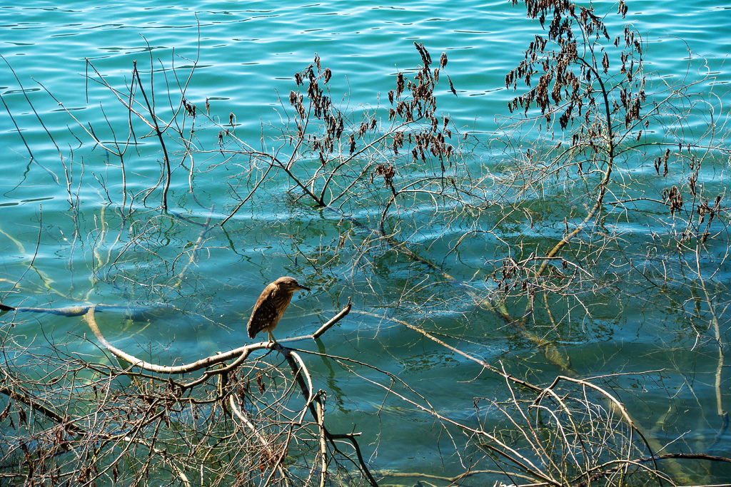 DSC06735.jpg DSC06735.jpg