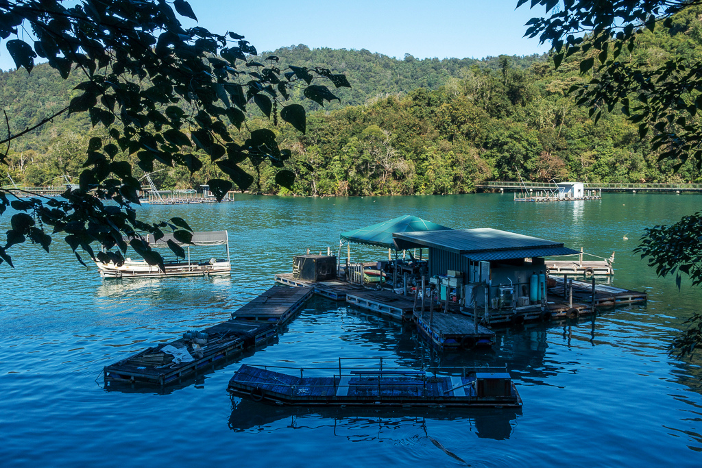 DSC06749.jpg DSC06749.jpg