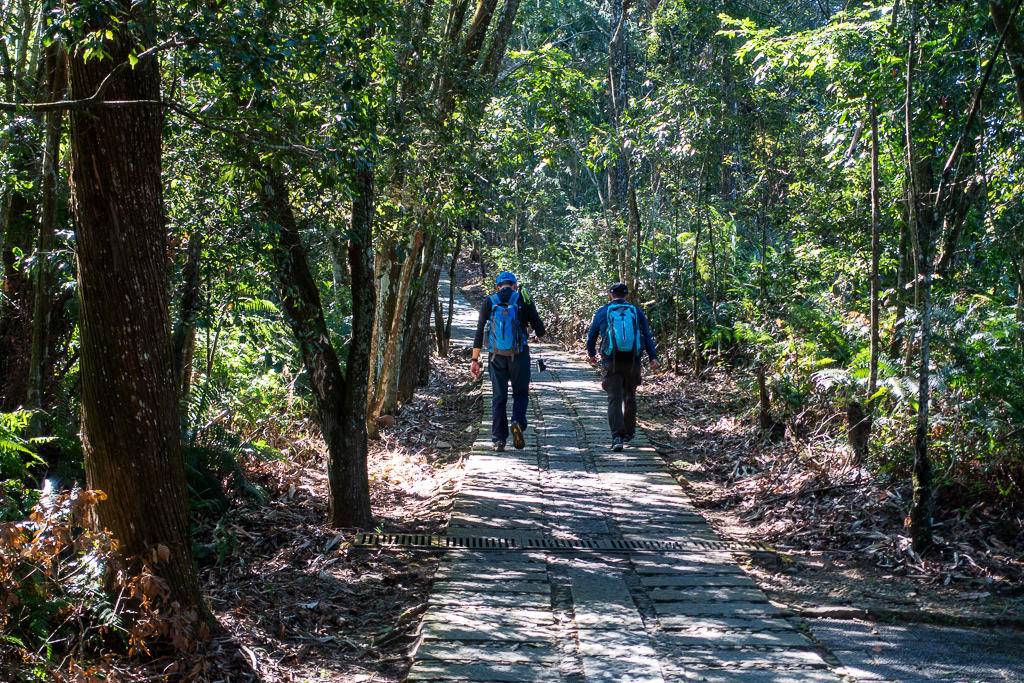 DSC06676.jpg DSC06676.jpg