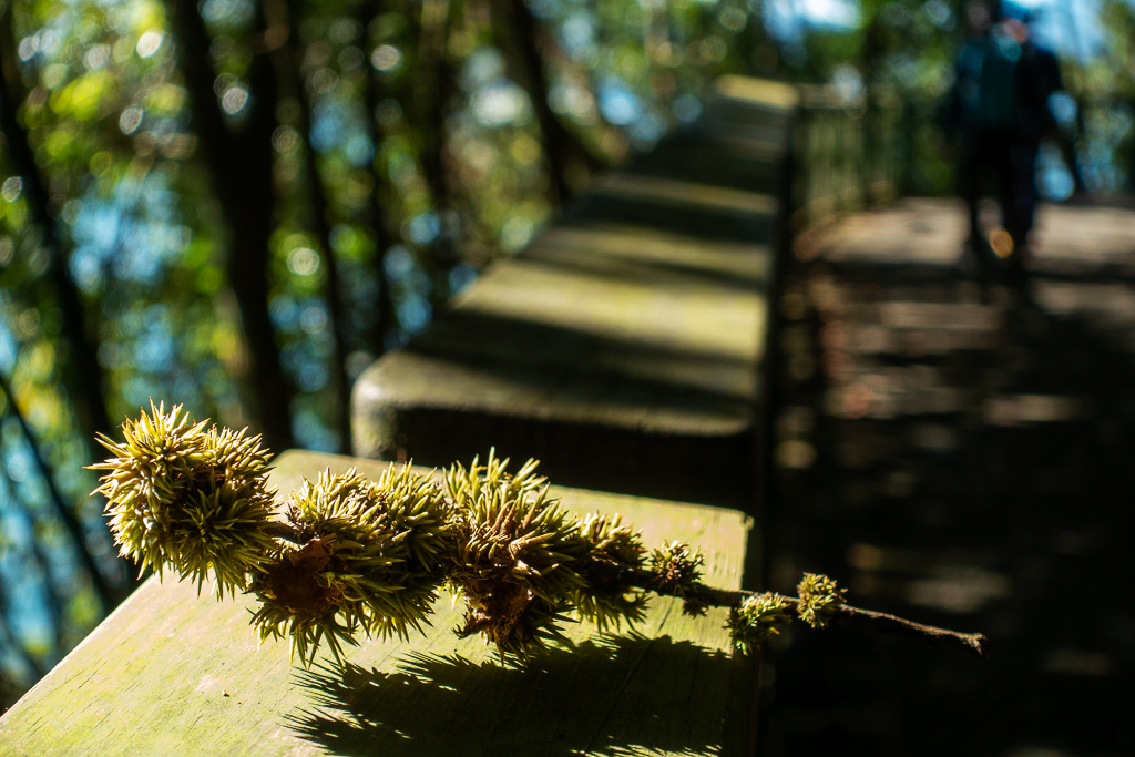 DSC06768.jpg DSC06768.jpg