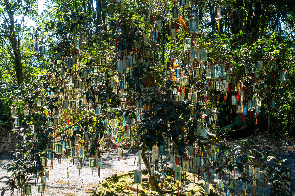 DSC06680.jpg DSC06680.jpg