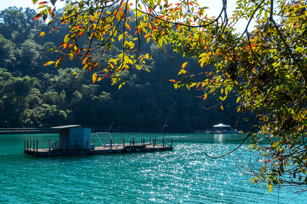 DSC06763.jpg DSC06763.jpg